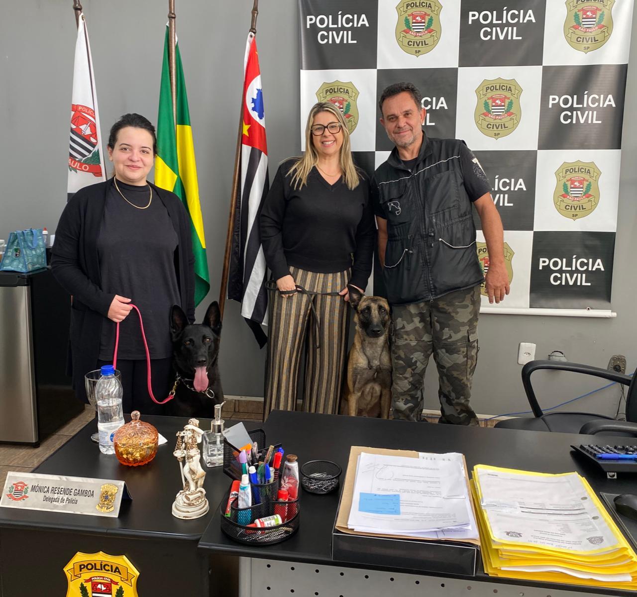 Agosto Lilás: Cotia terá apresentação de ‘Cão Protetor para Mulheres Vítimas de Violência’